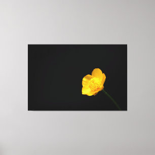 Buttercup Blume 60x40 (150x100cm) Waccna Leinwanddruck