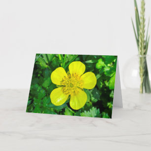 Buttercup Blume bewundern. Karte