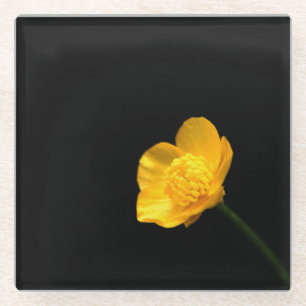 Buttercup-Blume Glasuntersetzer