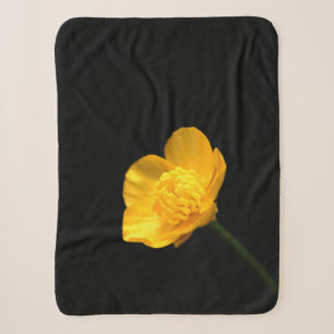 Buttercup Blume sbcnm Sherpadecke