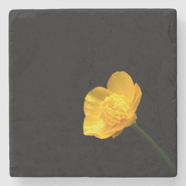 Buttercup-Blume Steinuntersetzer (Vorderseite)