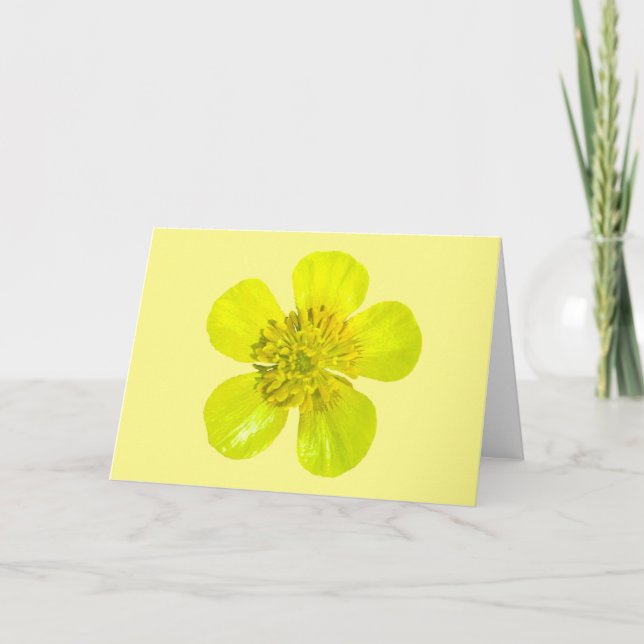 Buttercup Blume - transparent. Karte (Vorderseite)