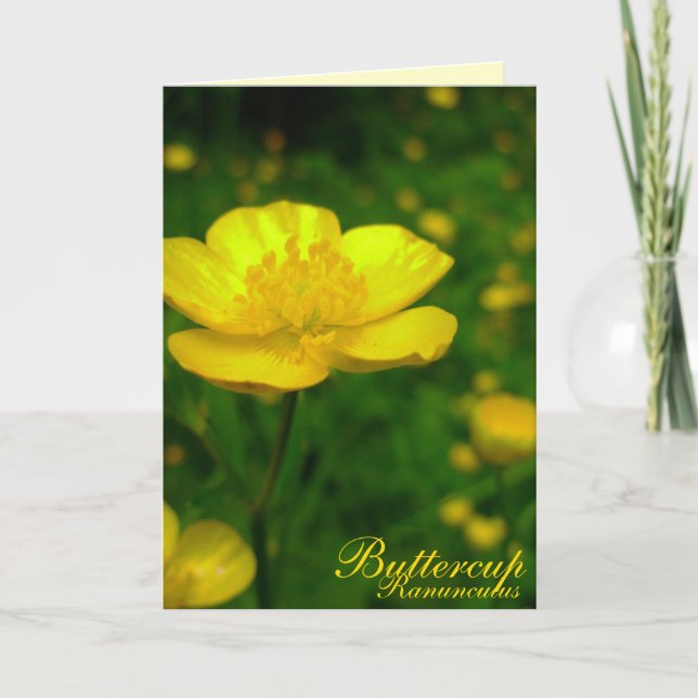 Buttercup Card Wilde Blume Maßgeschneiderte Karten (Vorderseite)