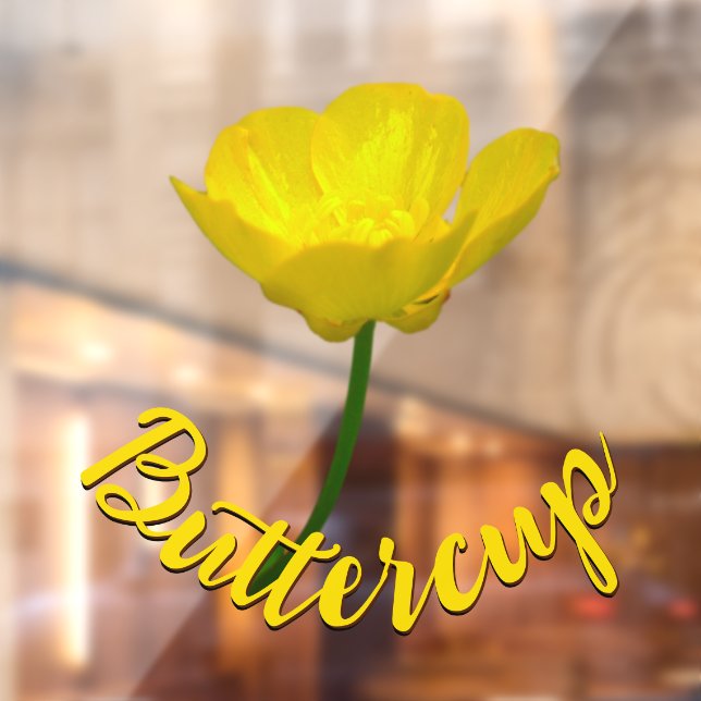 Buttercup-Decal, individuell angepasstes Buttercup Fensteraufkleber (Blatt 2)