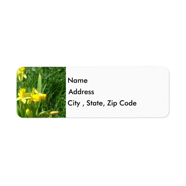 Buttercup Gelbe Daffodien Rücksendeadresse Etikett (Vorne)