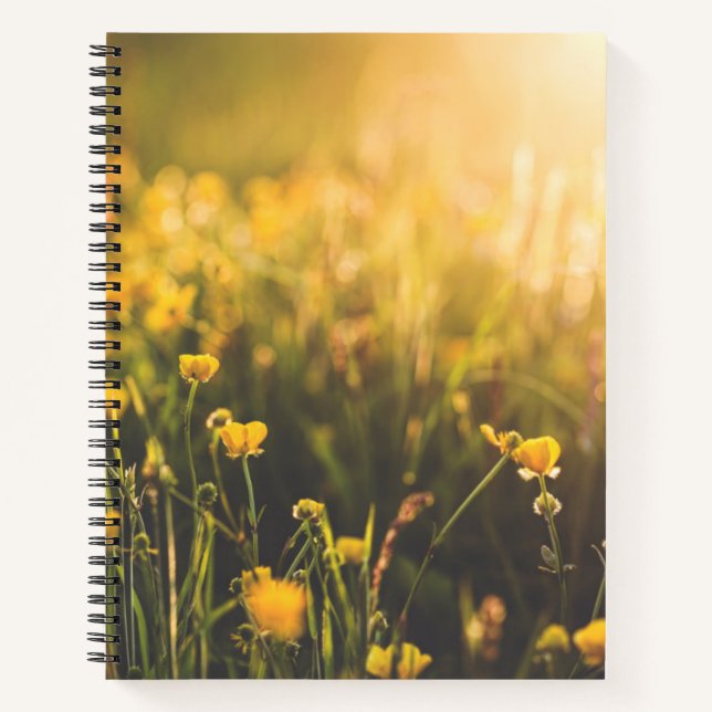 Buttercup Sundown Notizbuch (Vorderseite)