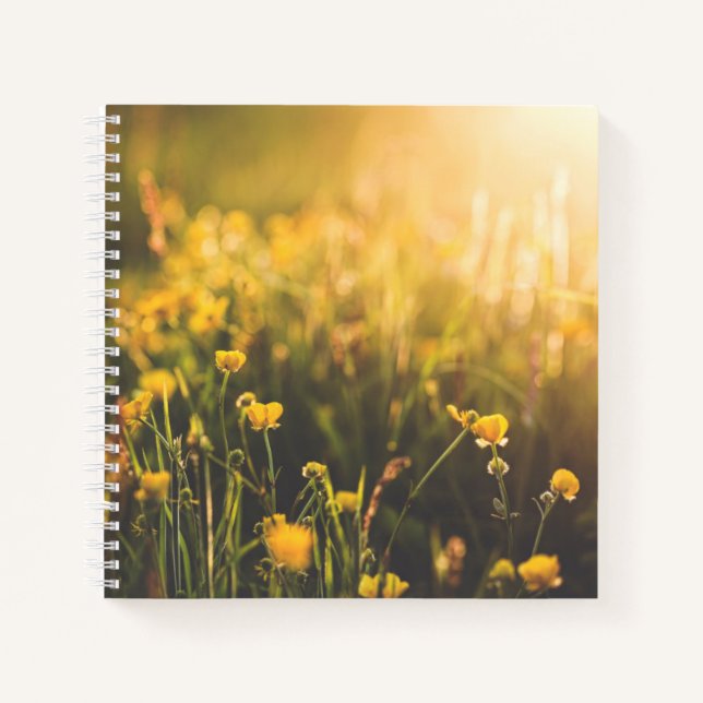 Buttercup Sundown Notizbuch (Vorderseite)