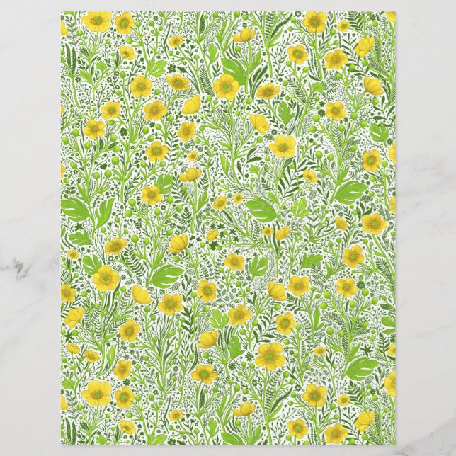 Buttercups auf weiß (Vorderseite)