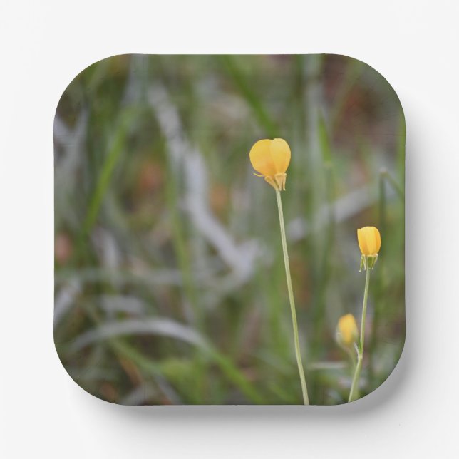Buttercups Foto Paper Teller (Vorderseite)