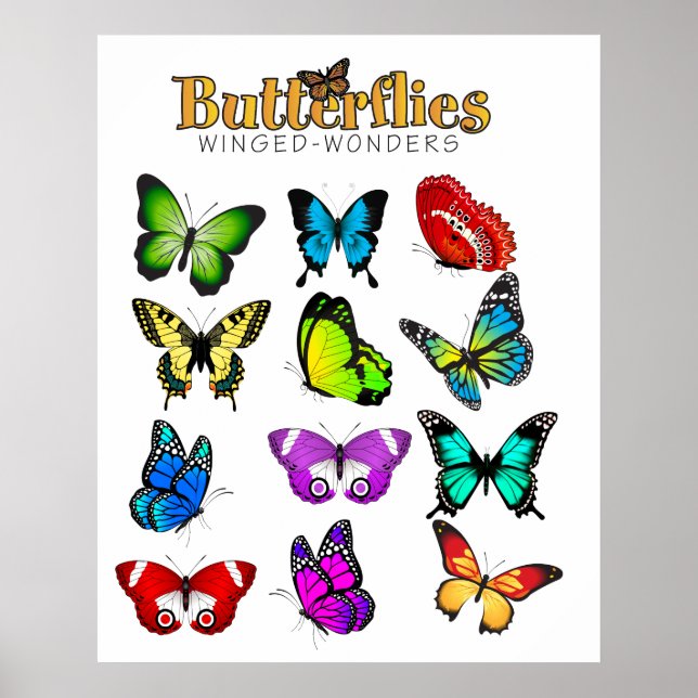 Butterfisch Poster (Vorne)