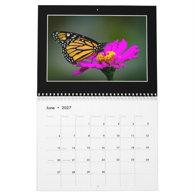 Butterflies 2020 Kalender von Tom Minutolo (Jun 2027)