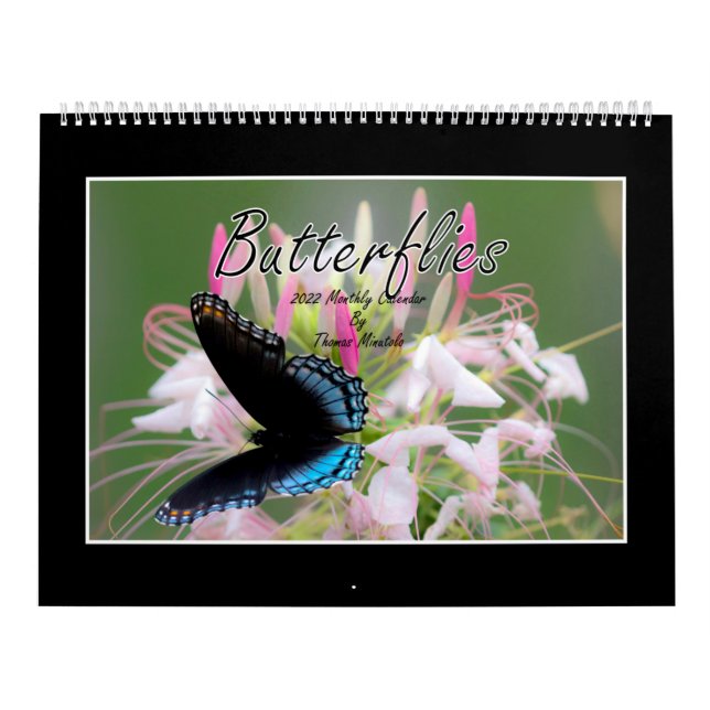 Butterflies 2022 Kalender von Tom Minutolo (Titelbild)