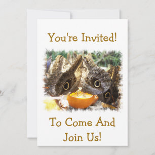 BUTTERFLIES EINLADUNG