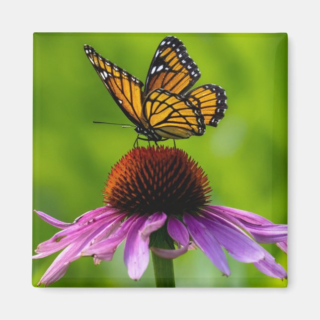 Butterfly 2" Magnet (Vorne)