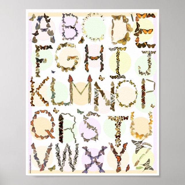 Butterfly Alphabet Poster - Kinder ABC (Vorne)