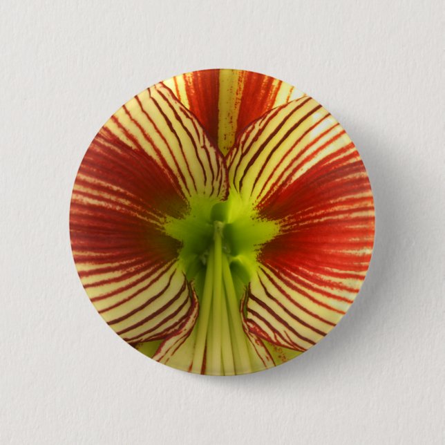 Butterfly Amaryllis Button (Vorderseite)