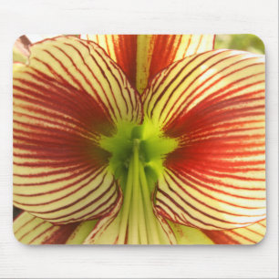Butterfly Amaryllis Mousepad