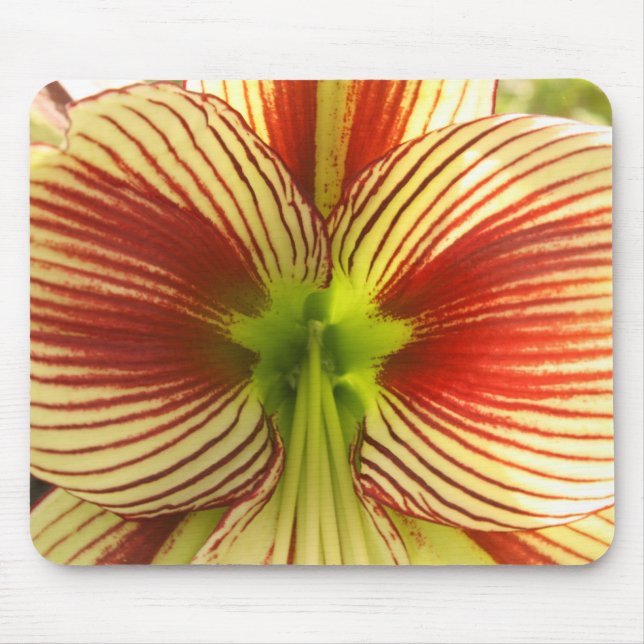 Butterfly Amaryllis Mousepad (Vorne)