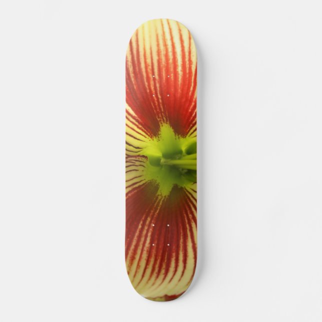 Butterfly Amaryllis Skateboard (Vorderseite)