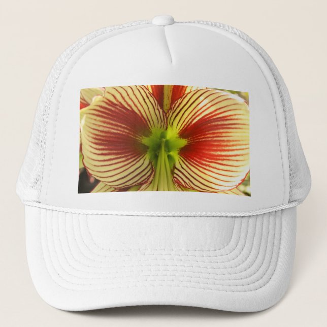 Butterfly Amaryllis Truckerkappe (Vorderseite)
