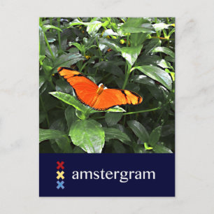 Butterfly Amsterdam Postkarte