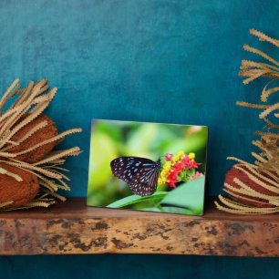 Butterfly Art Deco Plaque Fotoplatte