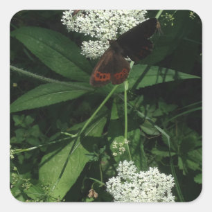 Butterfly-Aufkleber Quadratischer Aufkleber