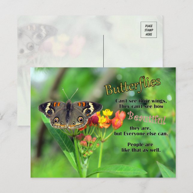 Butterfly Beauty Postcard Postkarte (Vorne/Hinten)