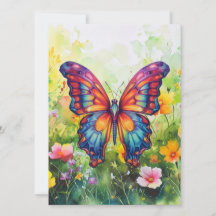 Butterfly Blue Orange Wings