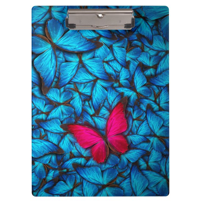 Butterfly Blue Pink Hive | Schmetterlingsklammer Klemmbrett (Vorderseite)