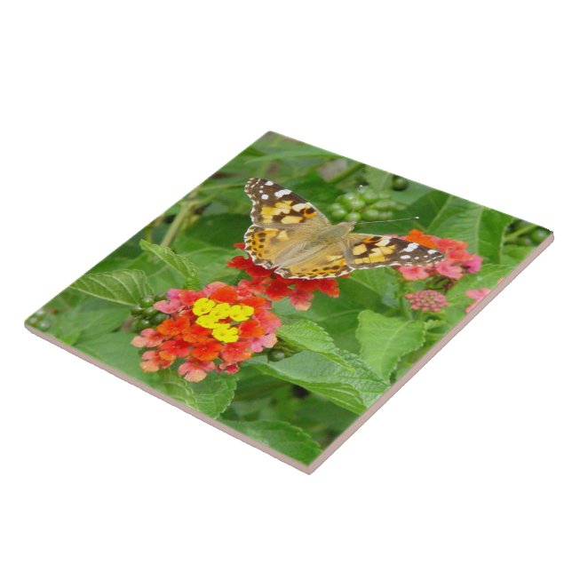 Butterfly-Blume Fliese (Seite)