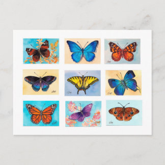 Butterfly Bonanza Postcard Postkarte
