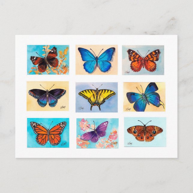 Butterfly Bonanza Postcard Postkarte (Vorderseite)