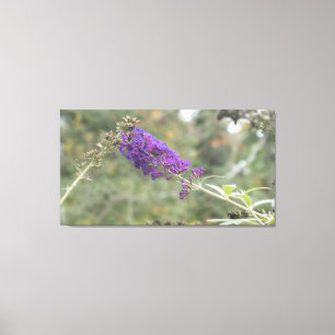 Butterfly Bush Leinwanddruck