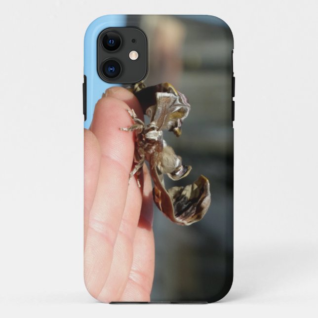 Butterfly Cocoon Foto iPhone SE + iPhone 5/5S Case-Mate iPhone Hülle (Rückseite)