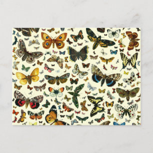 Butterfly Collage Postkarte