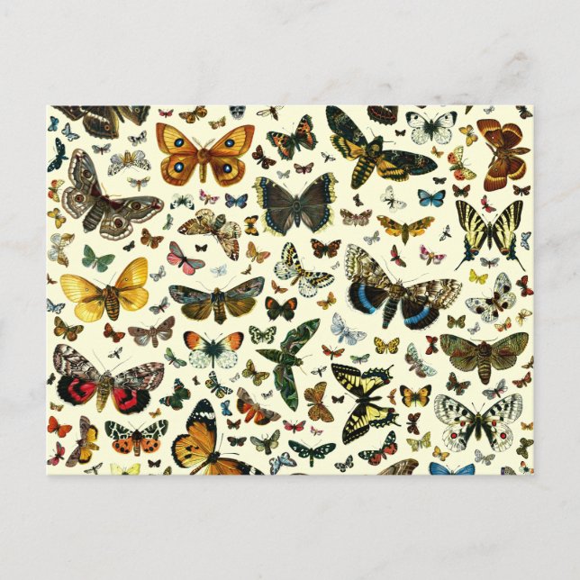 Butterfly Collage Postkarte (Vorderseite)