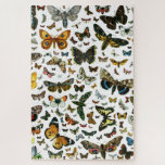 Butterfly Collage - scores of butterflies & moths<br><div class="desc">Customize these products. The main images is a huge square picture, and can be moved up, down, left and right to focus on different areas of the main image. It may also be enlarged in the customize feature to enlarge one particular area or insect. The background color is changeable. Make...</div>