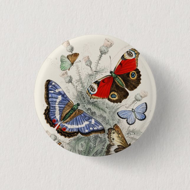 Butterfly Collection Antike farbenfrohe Schmetterl Button (Vorderseite)
