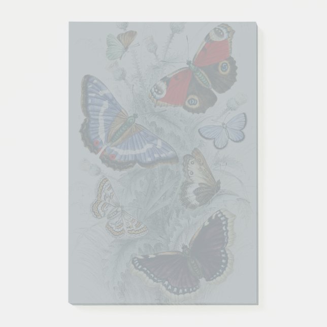 Butterfly Collection Antike farbenfrohe Schmetterl Post-it Klebezettel (Vorderseite)