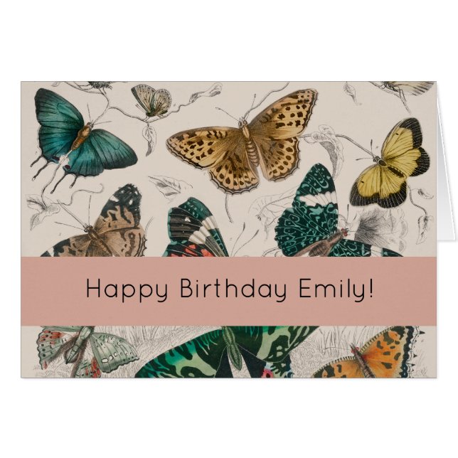 Butterfly Collection Antike Schmetterlinge (Vorderseite (Horizontal))