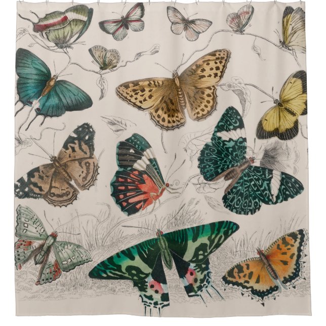 Butterfly Collection Antike Schmetterlinge Duschvorhang (Vorderseite)