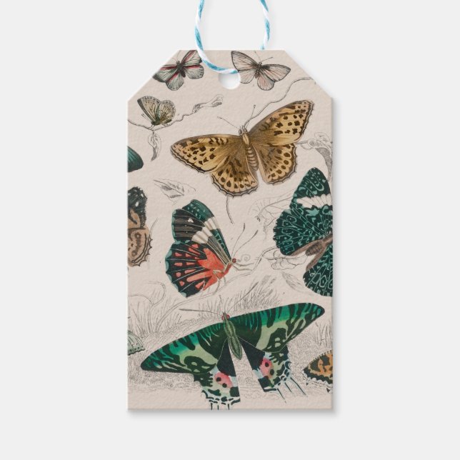Butterfly Collection Antike Schmetterlinge Geschenkanhänger (Vorderseite)