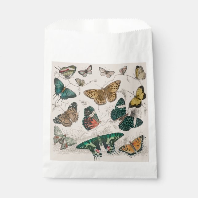 Butterfly Collection Antike Schmetterlinge Geschenktütchen (Vorderseite)