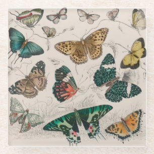 Butterfly Collection Antike Schmetterlinge Glasuntersetzer