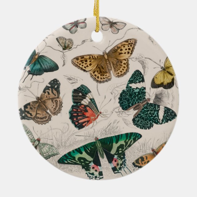 Butterfly Collection Antike Schmetterlinge Keramik Ornament (Hinten)