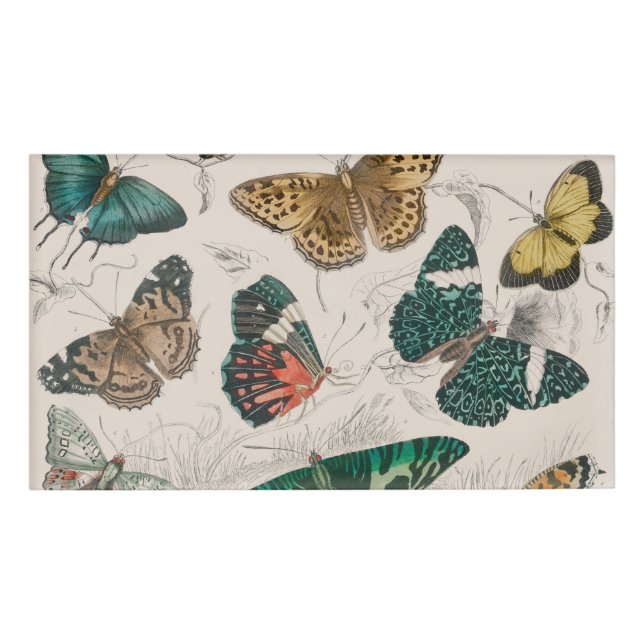 Butterfly Collection Antike Schmetterlinge Namenschild (Vorderseite)