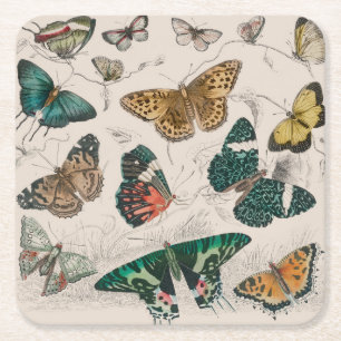 Butterfly Collection Antike Schmetterlinge Rechteckiger Pappuntersetzer
