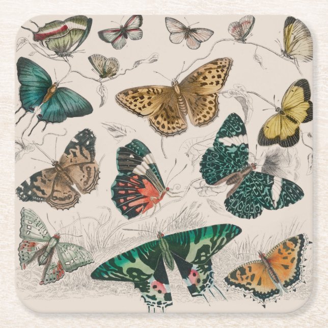 Butterfly Collection Antike Schmetterlinge Rechteckiger Pappuntersetzer (Vorderseite)