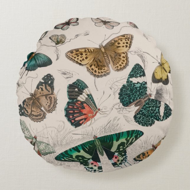 Butterfly Collection Antike Schmetterlinge Rundes Kissen (Vorderseite)